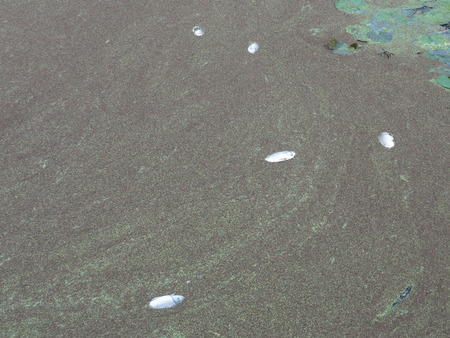 c0108460_13404412.jpg