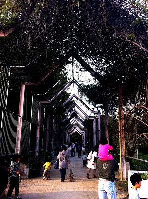 f0211463_20141825.jpg