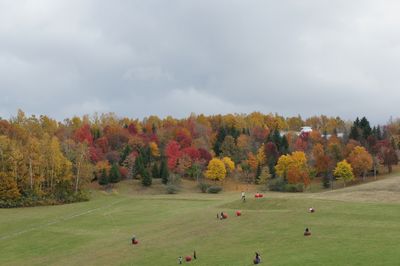 c0139765_2327598.jpg