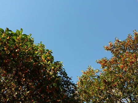d0168567_21435120.jpg