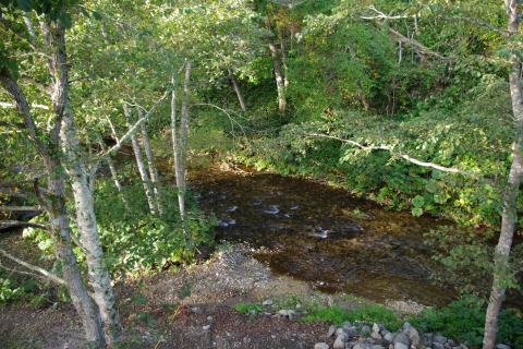 e0045768_22184179.jpg