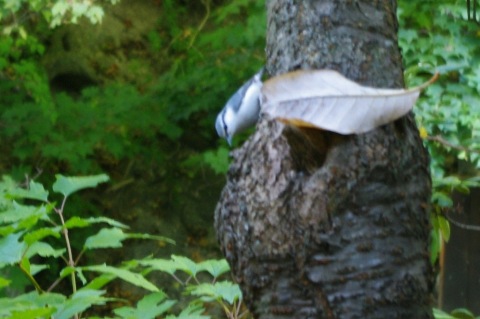 e0045768_22221866.jpg