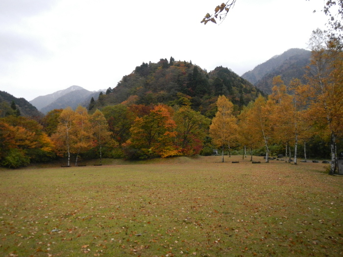 f0223068_8212565.jpg