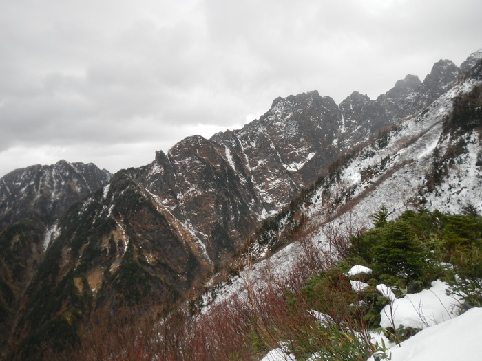 f0223068_8232348.jpg