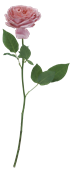 e0272870_2102185.png