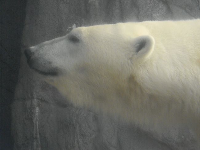 b0014576_4554715.jpg