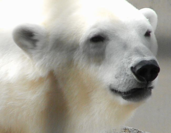 b0014576_5173054.jpg