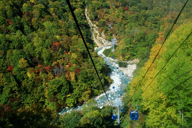 d0126577_11504360.jpg