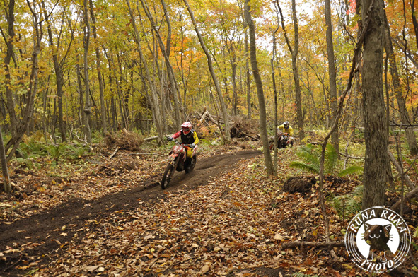 f0210380_15483666.jpg