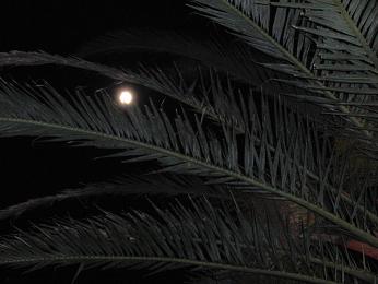 a0292989_21244414.jpg