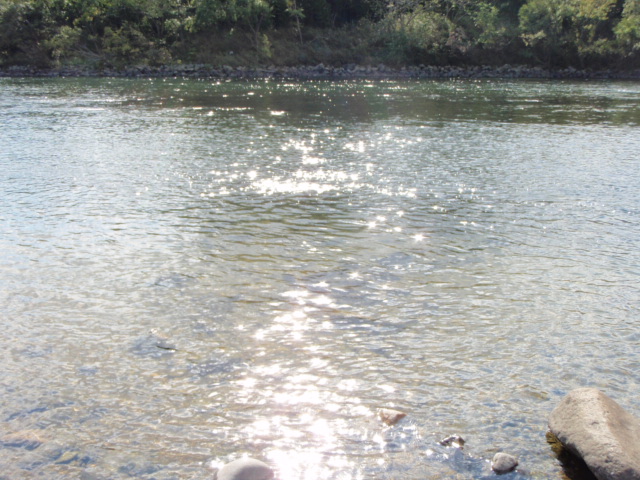a0036693_2038134.jpg