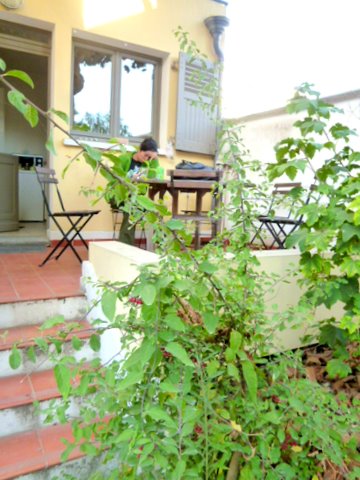f0137694_173319.jpg