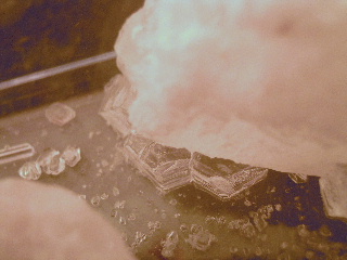 c0114797_8293962.jpg
