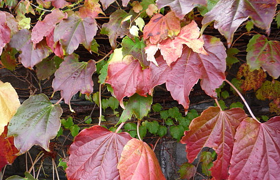 a0214206_23291446.jpg