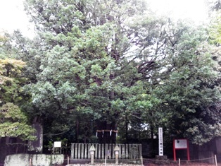 b0079206_18421239.jpg