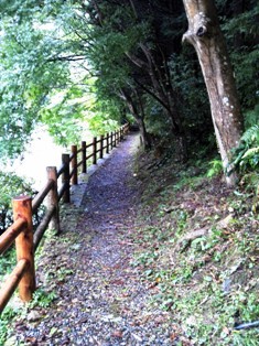b0079206_19135848.jpg
