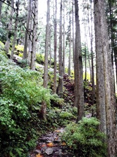 b0079206_19251015.jpg