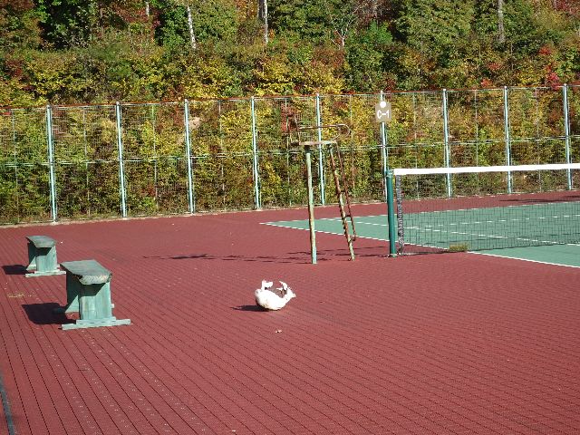 b0148106_23585039.jpg