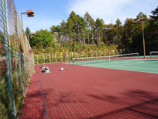 b0148106_23591521.jpg