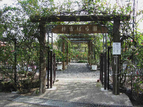 d0154609_2041419.jpg