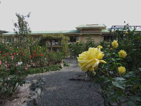 d0154609_2052670.jpg