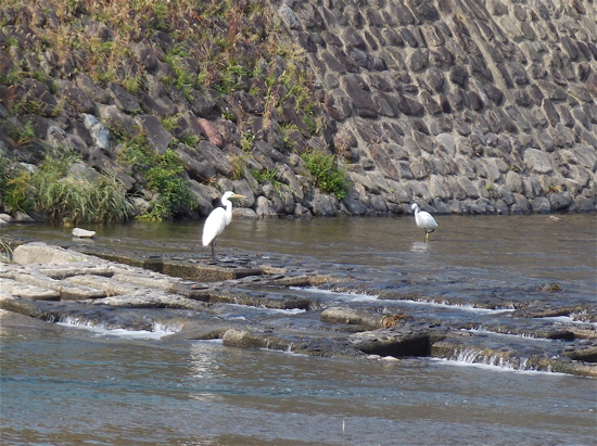 a0164011_2352960.jpg