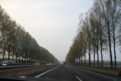 e0038811_540225.jpg