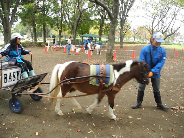 c0248013_11301391.jpg