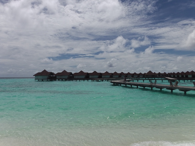e0033713_10332014.jpg