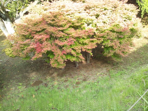 c0150520_118431.jpg