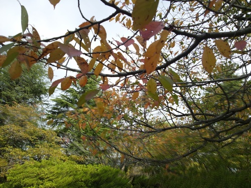 c0150520_1191451.jpg