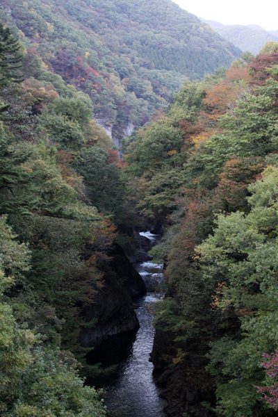 e0071225_2371561.jpg