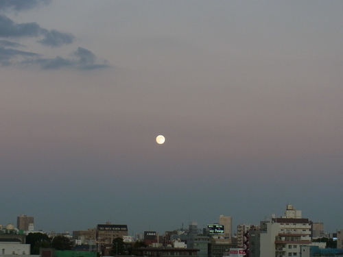 f0108825_2216373.jpg