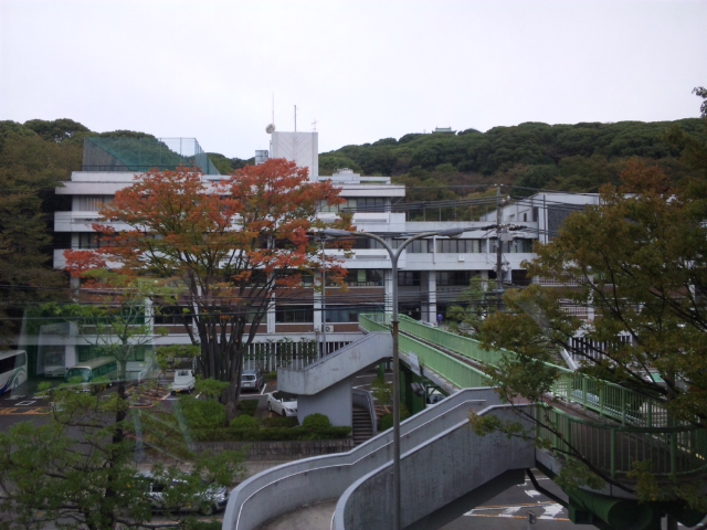 c0236527_22504369.jpg