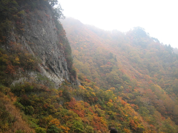 d0070327_6574014.jpg