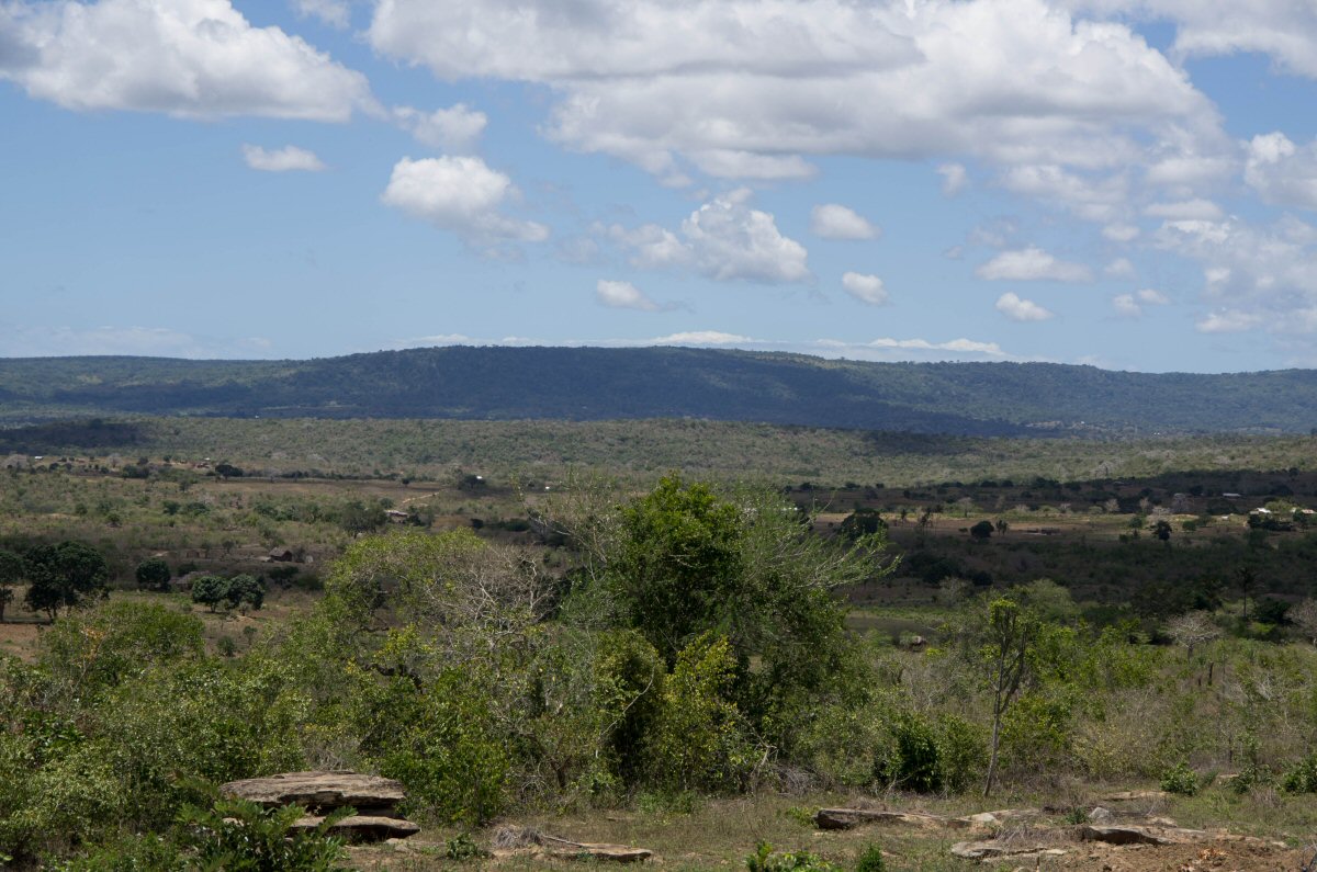 d0032931_19525064.jpg