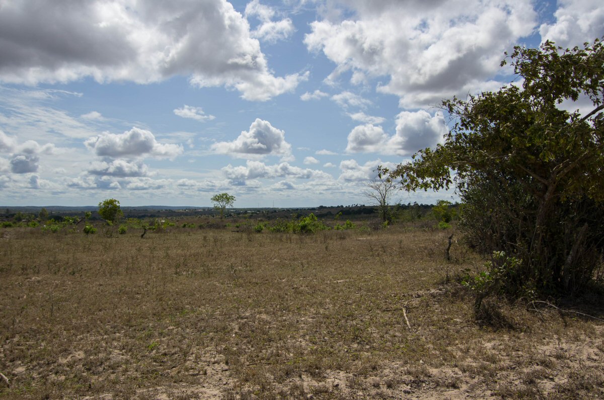 d0032931_19531969.jpg