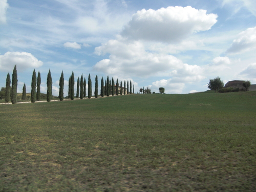 e0203331_6493764.jpg