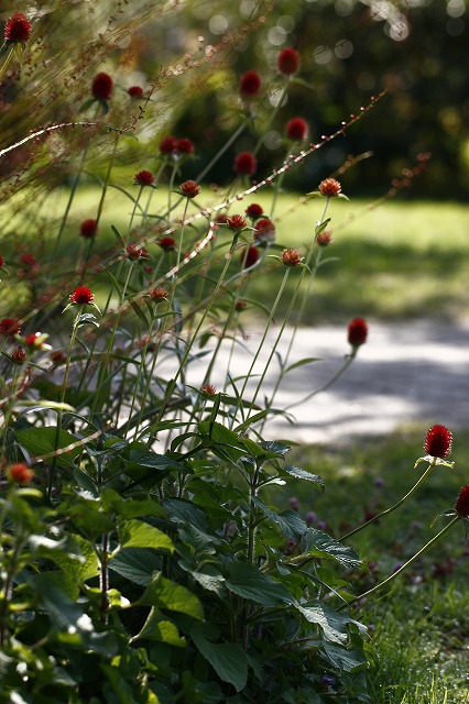 a0045932_12381622.jpg