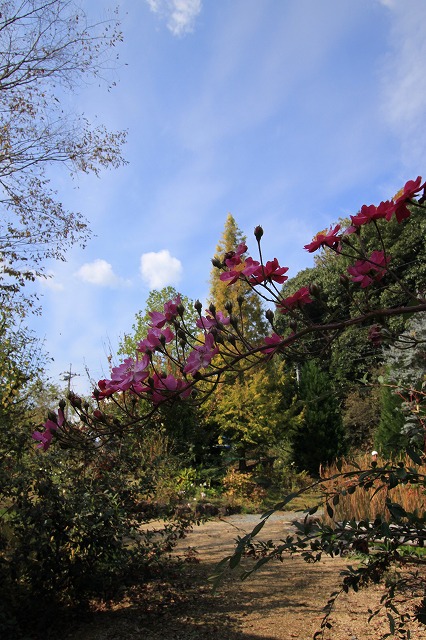 a0045932_12384460.jpg