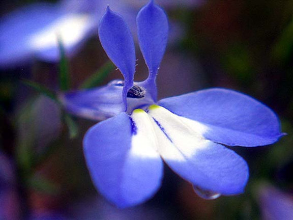 a0245136_044340.jpg