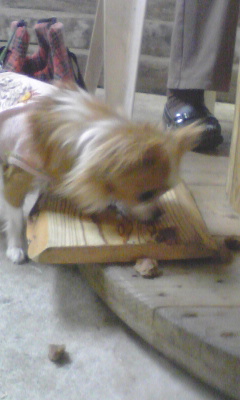 c0075641_148969.jpg