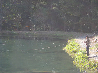 f0065341_1513279.jpg