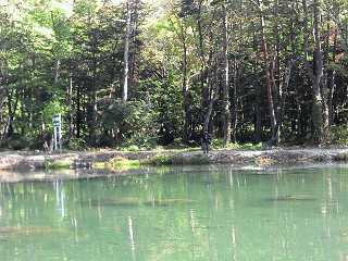 f0065341_15141478.jpg
