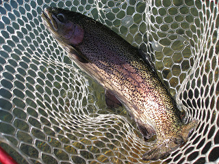 f0065341_15161496.jpg