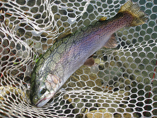 f0065341_17101362.jpg
