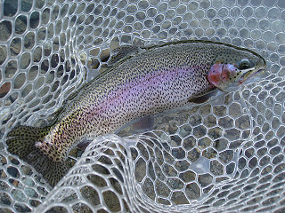 f0065341_17254385.jpg