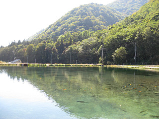 f0065341_173991.jpg