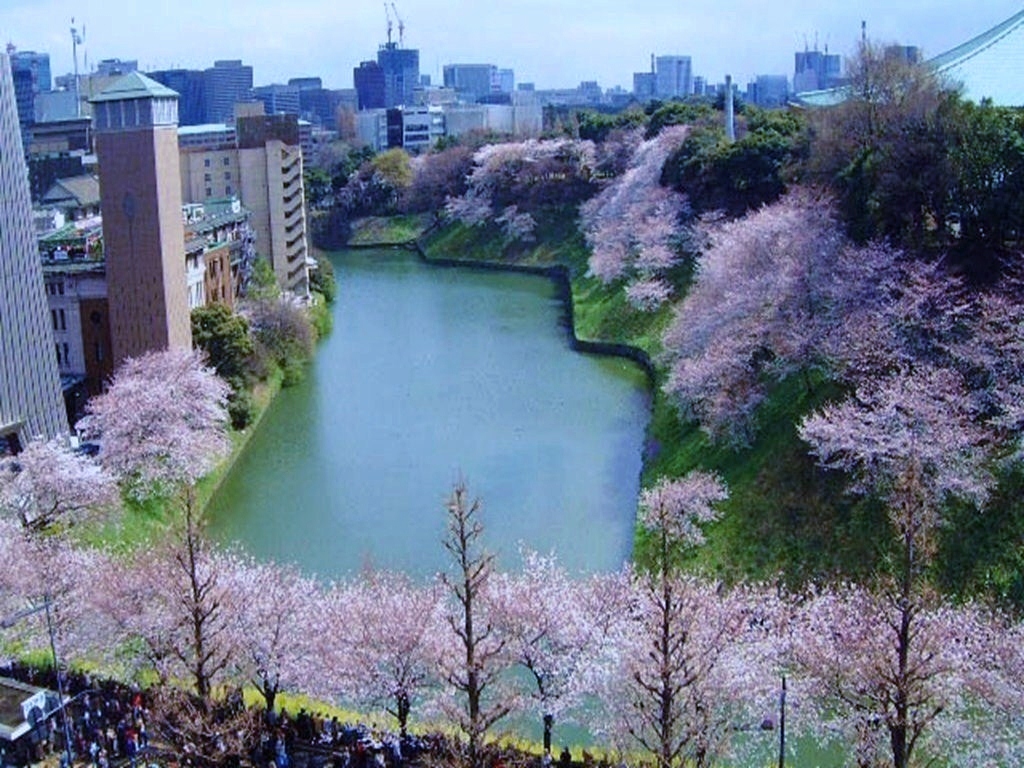 a0277742_12273159.jpg