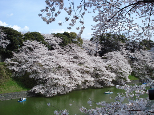 a0277742_1229385.jpg